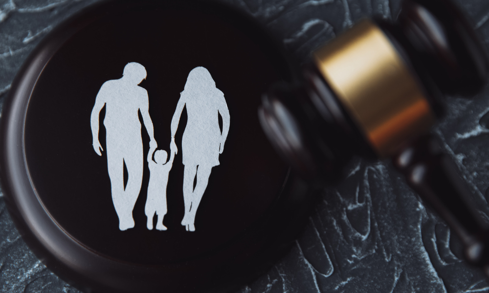 child custody hearing tips delaware